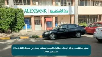 سعر متقلب.. حركة الدولار مقابل الجنيه تستمر بحذر في سوق الثلاثاء 23 سبتمبر 2025